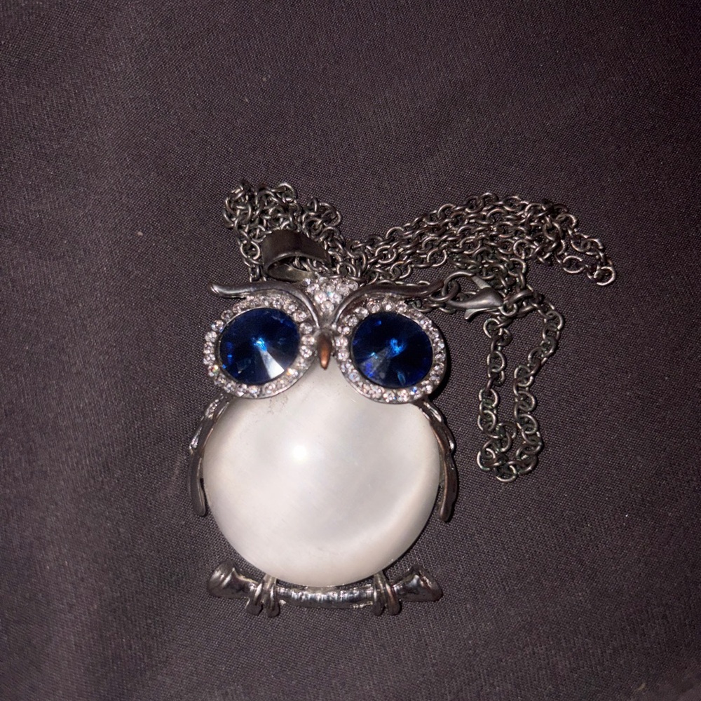 Source Unknown Silver and Blue Owl Necklace